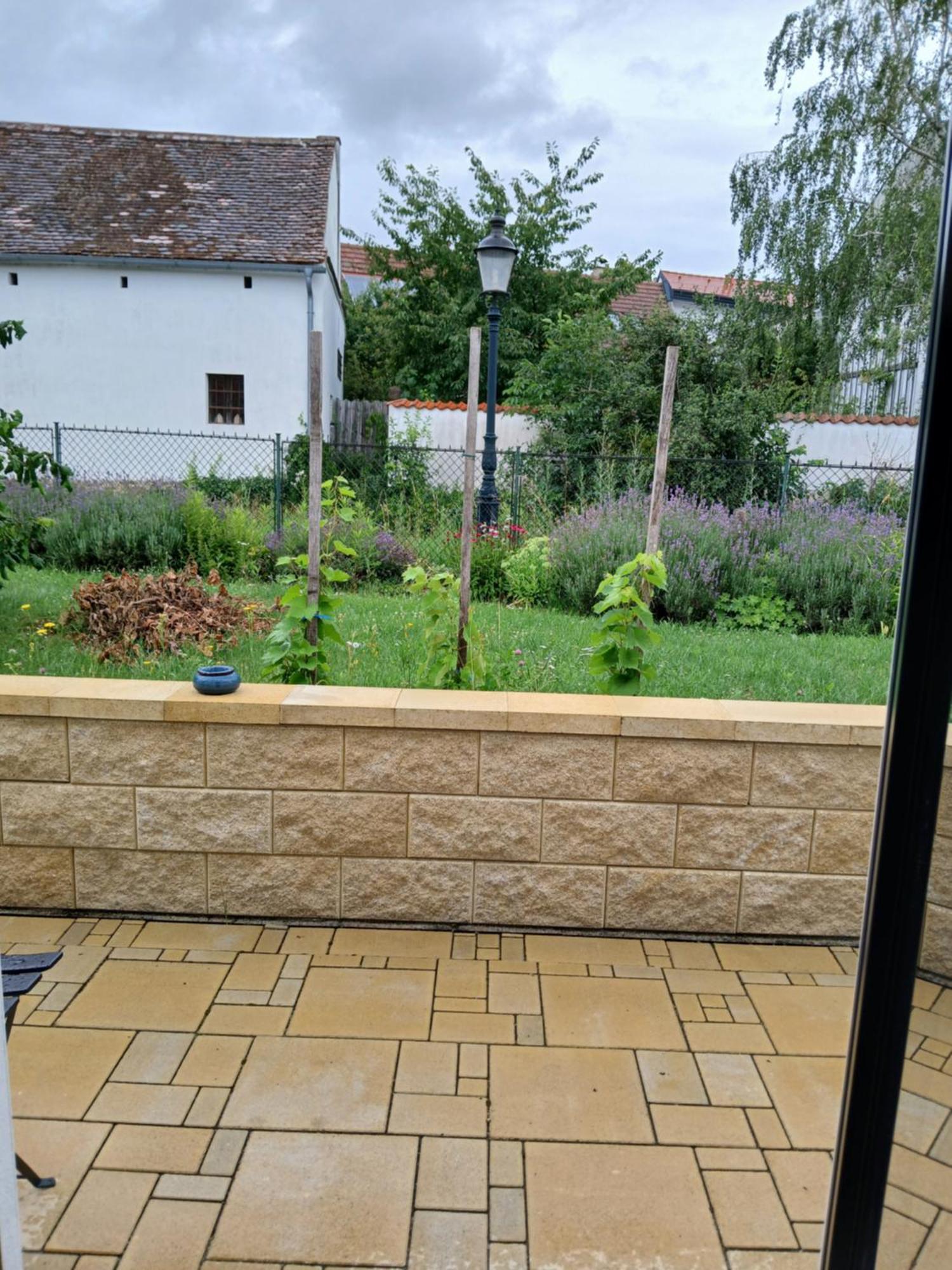 Weingut Thomas Brandl Bed and Breakfast Strass  Exteriör bild